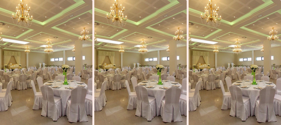 Le palmier d'or 77 - Location salle de reception mariage traiteur a domicile SEINE-ET-MARNE 77 - Photo 1